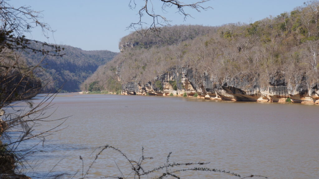 Blick auf den Fluss und das Ufer